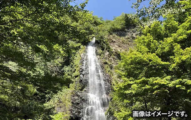 兵庫県養父市イメージ